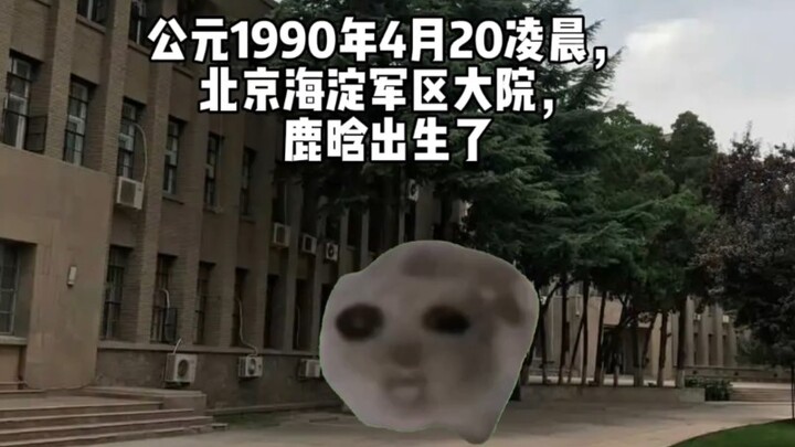 Opening Lu Han’s Life from Birth to Debut with Cat Memes [Speed Edition]