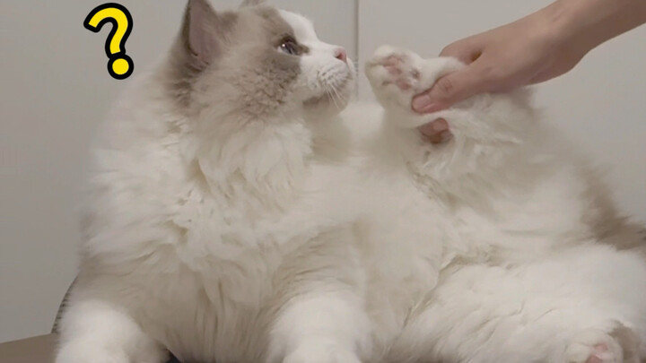 I pressed the "smelly bite" button!