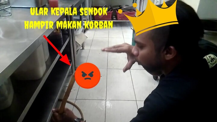 Menangkap ular kobra🐍dlm kitchen(joe cafe) lucu