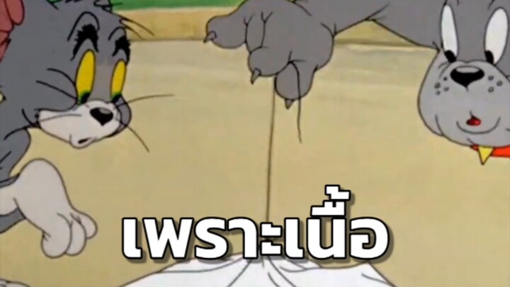 รักกันดี ตีกันทุกวัน #tomandjerry