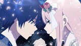 [DARLING in the FRANXX /National Team/AMV] Let me be your wings