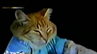 Nostalgia Bersama Kucing Piano😁