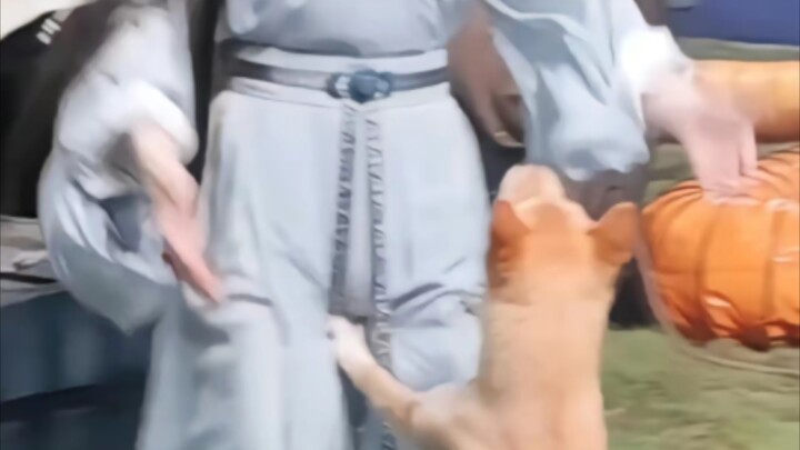 这次是风超大，黄心果果第二期来啦！！！