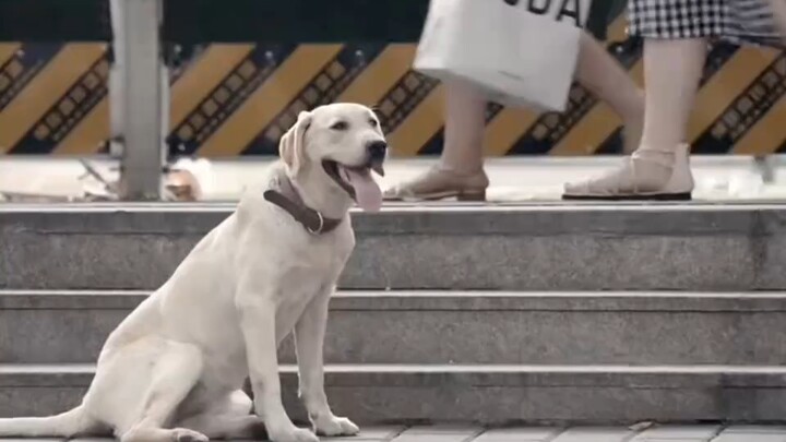 If you don’t love someone, please don’t hurt them #WatchedTheWholeSeriesBecauseOfOneScene