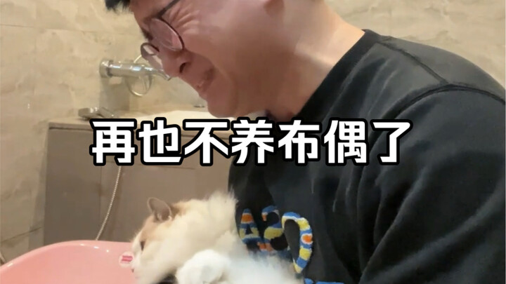 First time bathing my Ragdoll cat—what a twisty ending! I’m crying!