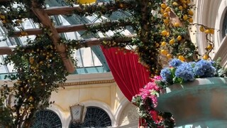 Khám phá thành phố Las Vegas là thiên đường ăn chơi của nước Mỹ và thế giới
