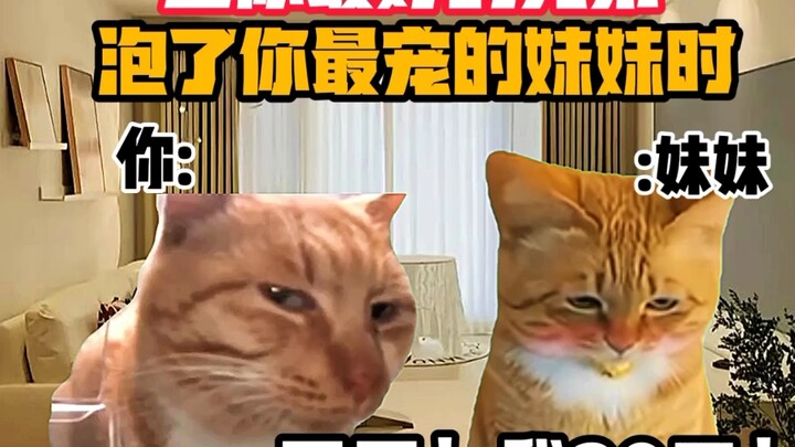 《猫meme小剧场》当你最好的兄弟泡了你最宠的妹妹时！