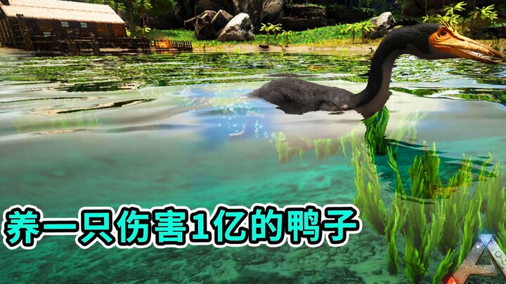 ARK: Survival Evolved: Burung Senja! Aku Memelihara Sekawanan Bebek Bangsa Pejuang