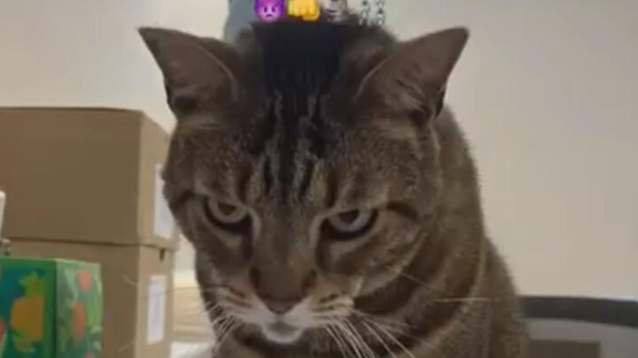 Bro’s looks and his call don’t match at all.