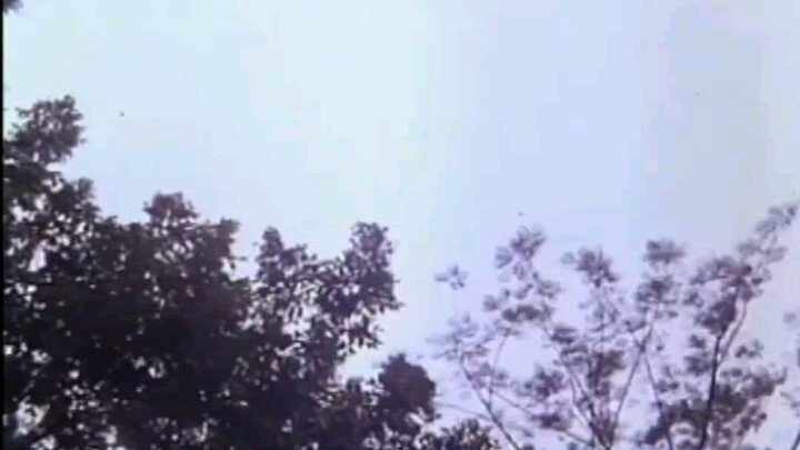 BAKIT KINAGAT NI ADAN ANG MANSANAS NI EVA (1988) FULL MOVIE | Dolphy | Beverly Vergel