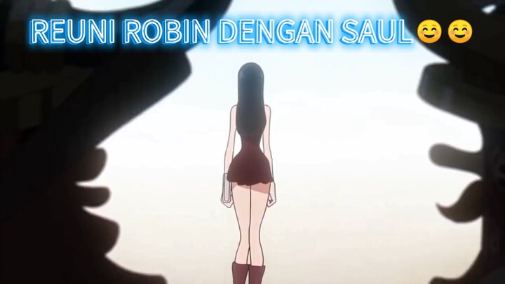REUNI ROBIN DENGAN SAUL☺️☺️ ONE PIECE EPISODE 1163|SUB INDO