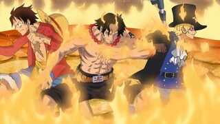 Sabo: Ace, em sẽ không hối hận nữa! ! !