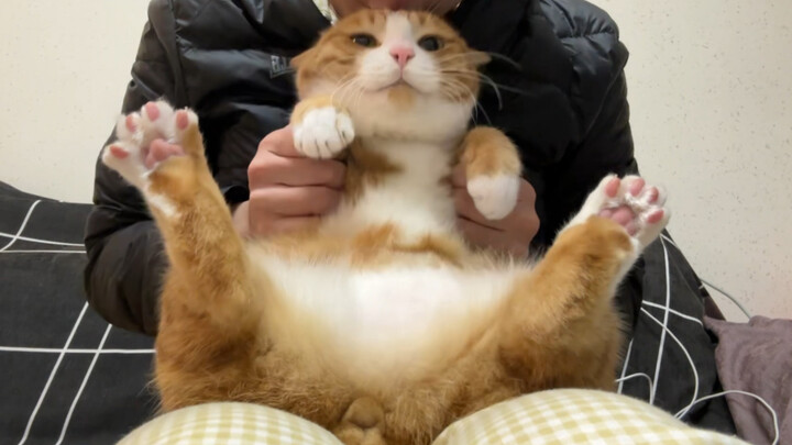 If Dad can’t give a kiss, Mom will step in!