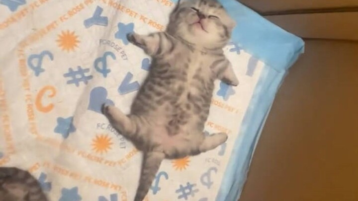 Tuổi này mà còn ngủ ngon được à!