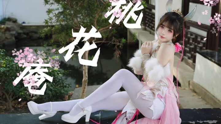 Này! Thỏ con mập mạp ₍ᐢ‥ᐢ₎