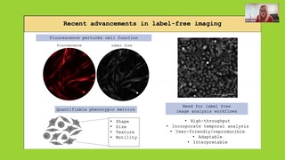 Gaining more from time-lapse microscopy through automated single-cell phenomics