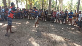 my alimbuyogin fight (win)