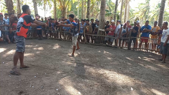 my alimbuyogin fight (win)