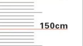 What sentence was given by the court to Wenshui, who committed the crime of NTR?