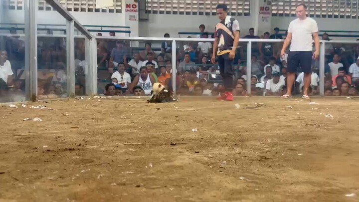 2nd fight loss San Miguel Bulacan