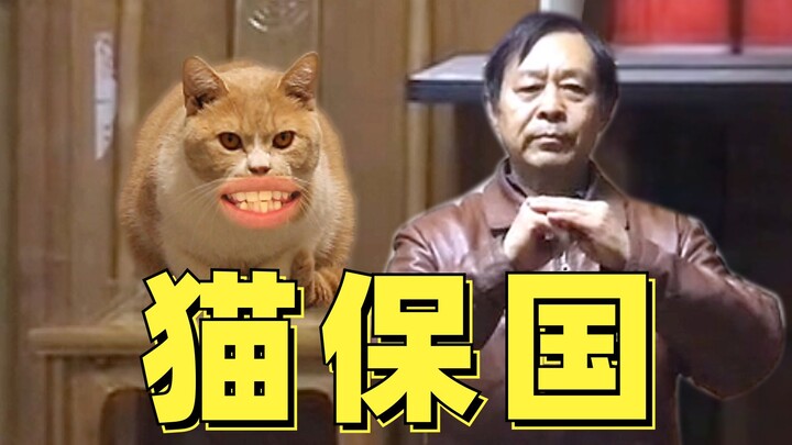 Ma Baoguo sudah memelihara kucing! Saran: ganti jadi “Cat Baoguo”