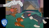 Tom & Jerry | Best Tom & Jerry Chase Scenes 🐱🐭 | Classic Cartoon Compilation | @wbkids​