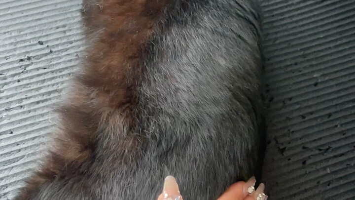 Kalau kamu begini, aku jadi susah ngelurusin—sekali lagi, gak ada jarum di tanganku, jadi ini bukan 