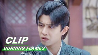 Gou and Bai Cai Return to the Human World | Burning Flames EP24 | 烈焰 | iQIYI