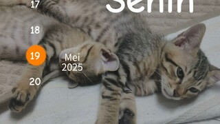sedar diri