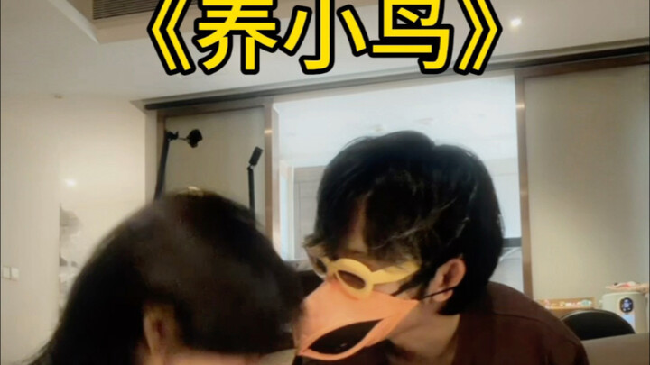 مجرد لمسات صغيرة من الحياة