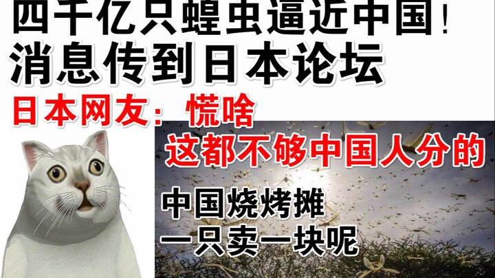 四千亿只蝗虫逼近中国！消息传到日本论坛。日本网友：慌啥，这都不够中国人分的！