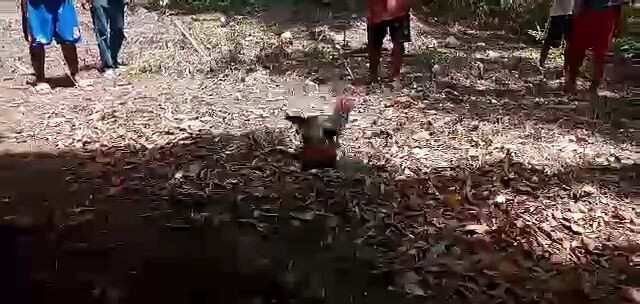 ruby29--tupada win#2