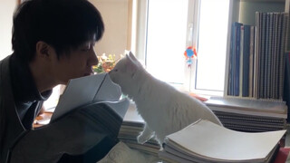 I put a lot of effort into imitating this cat!