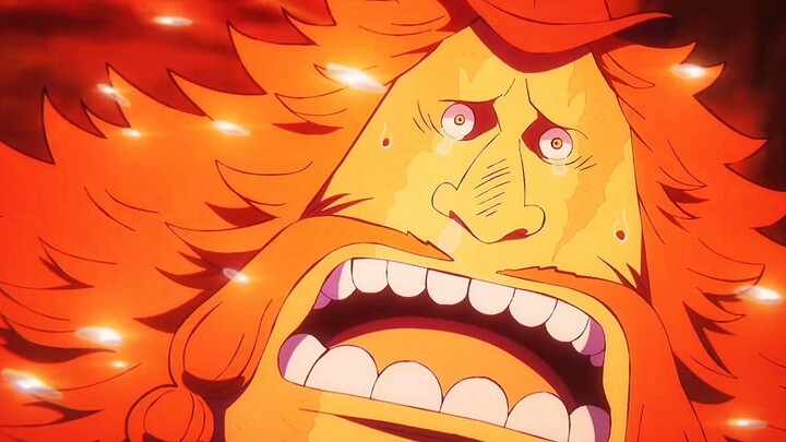 ‼️Untung Ad Jinbe😭‼️