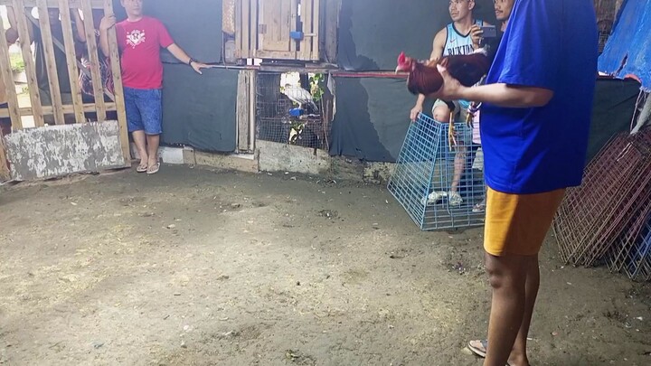 olats gaming
