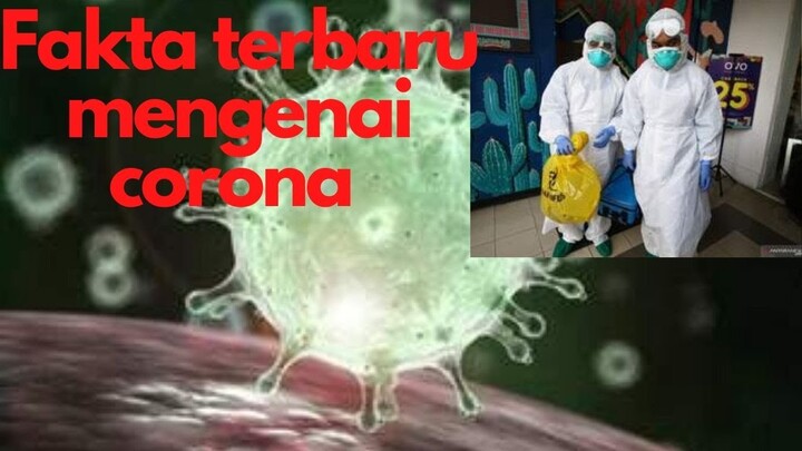 Fakta Terbaru Tentang Corona (Covid -19)