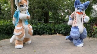 【tarian fursuit】Klik untuk segera menuai kebahagiaan! Dua ★Happy Synthesizer★ berbulu lebih cocok un