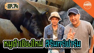 หมูดำเชียงใหม่ สิรินทร์ฟาร์ม - สิรินทร์ฟาร์ม EP.74