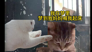 唯有爱能超越生死