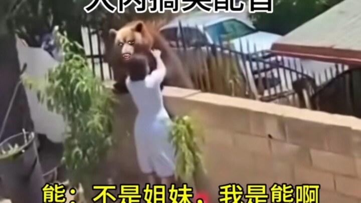 熊：不是姐妹，我是熊啊