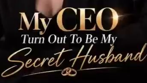 My CEO Turned Out to Be My Secret Husband