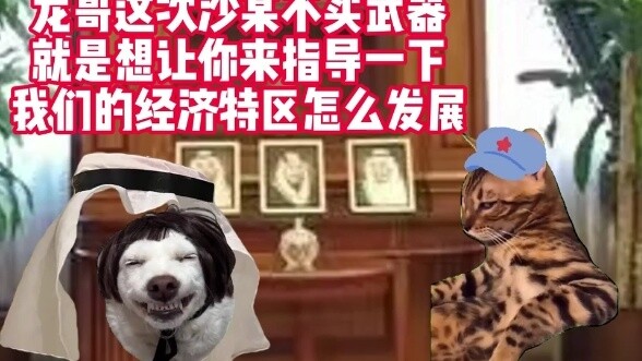 Đặc khu kinh tế Ả Rập Saudi #catmeme #猫meme小theater #Saudi Arabia #Hòa bình #Thỏ