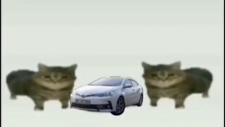 Memes That I Take From The Earth Part 23