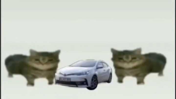 Memes That I Take From The Earth Part 23