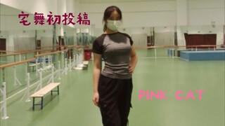 宅舞初投稿  PINK CAT