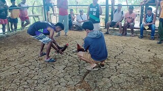 mahina ang sentensyador#follow#suportahan#highlight