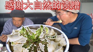 爷爷说这种野菜吃法是祖宗传下的，他十岁就自己挖荠菜包饺子了