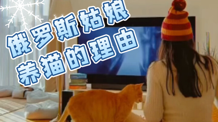 The Reason a Russian Girl Keeps a Cat