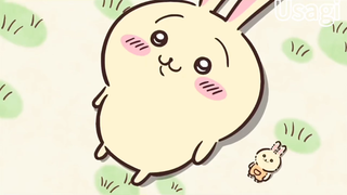 一分钟纯享版乌萨奇最温顺的“哈？”