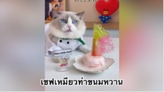 เพื่อนตัวน้อย สัตว์เลี้ยงแสนซน : เชฟเหมียวทำขนมหวาน